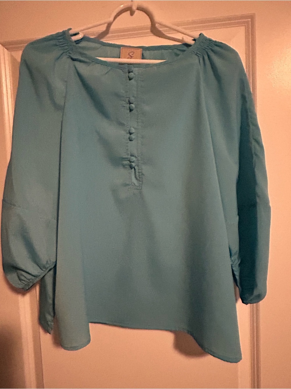 Sioni Teal Button-Front Peasant Blouse